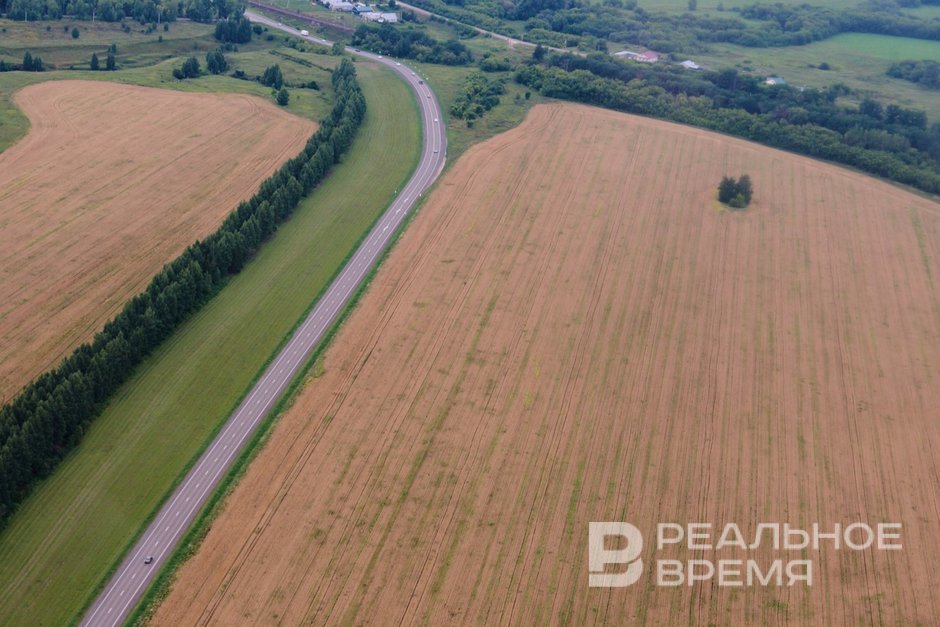 В Татарстане уборка зерновых и технических культур завершена на 61 %