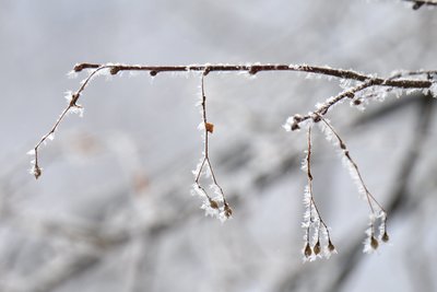 Сегодня в Татарстане ожидается до +4 градусов