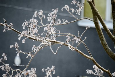 Сегодня в Татарстане ожидается до +2 градусов