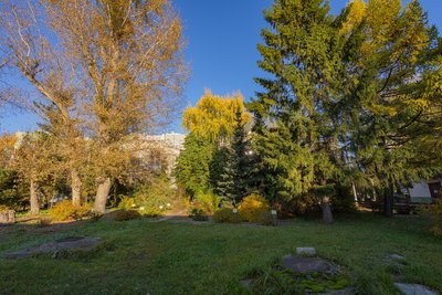В Казани побит 130-летний температурный рекорд