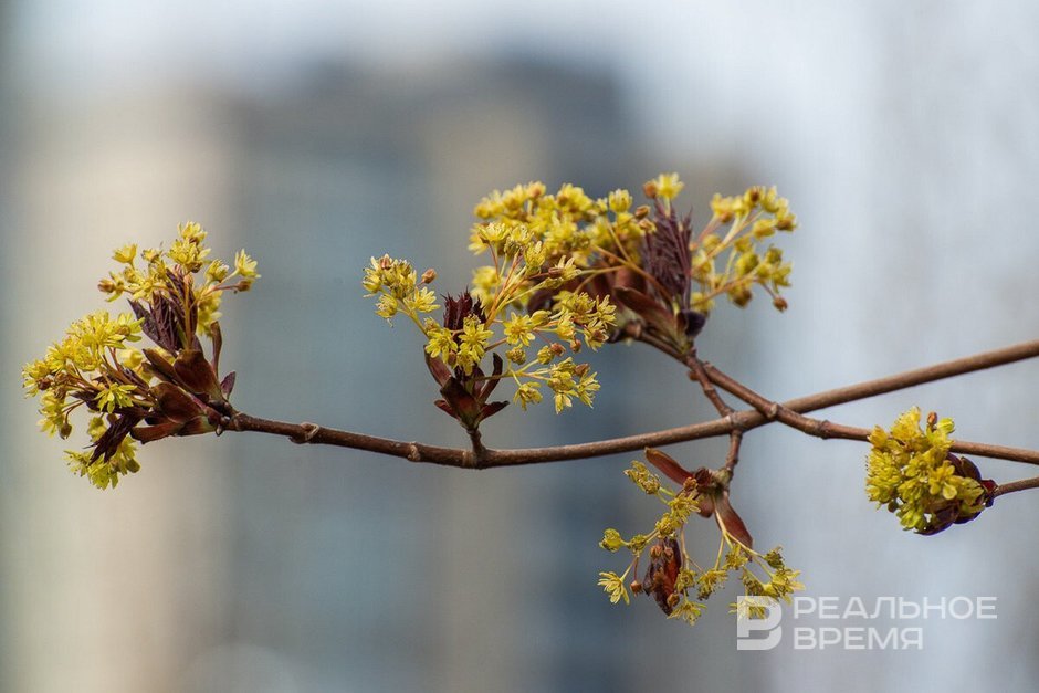 В Казани обновлен температурный рекорд 15 марта