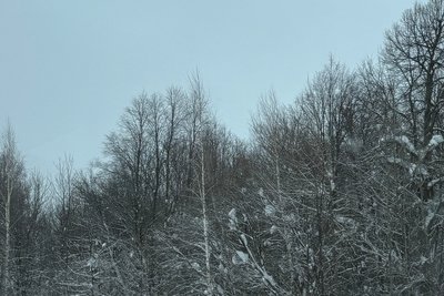 Гидрометцентр Татарстана предупредил о снегопадах и похолодании