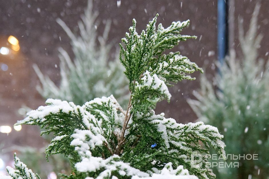 Синоптики оценили вероятность выпадения снега в Казани в апреле