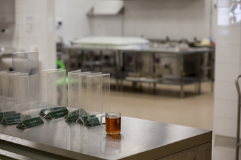 В Татарстане внедряют «Умную столовую» с искусственным интеллектом