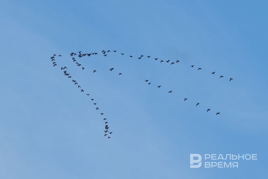 Сегодня в Татарстане ожидается до +15 градусов