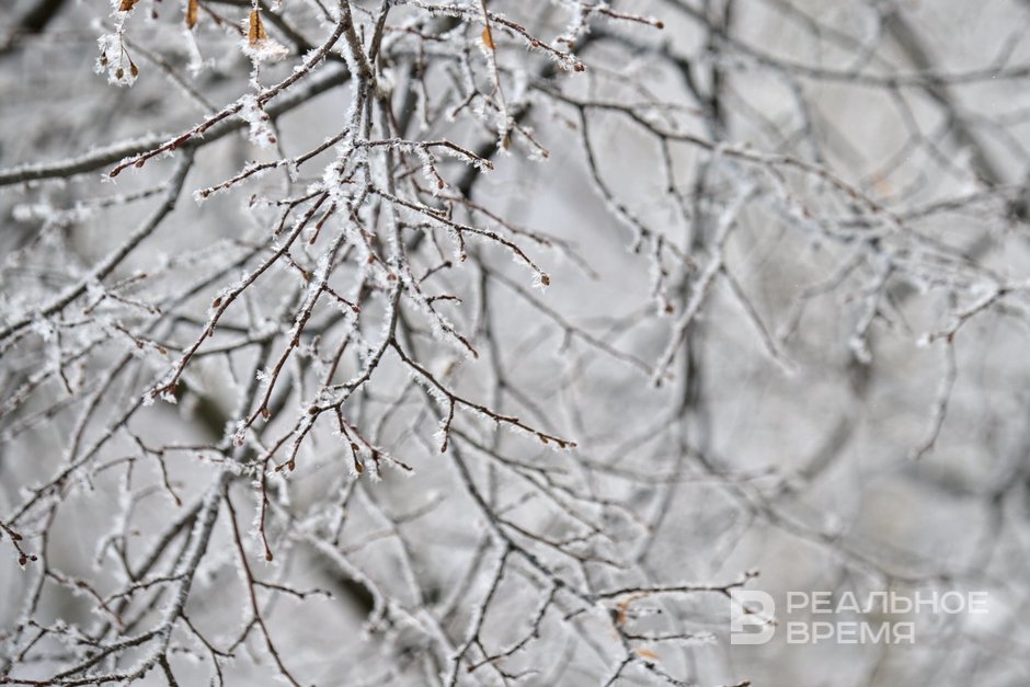 Сегодня в Татарстане ожидается до +3 градусов