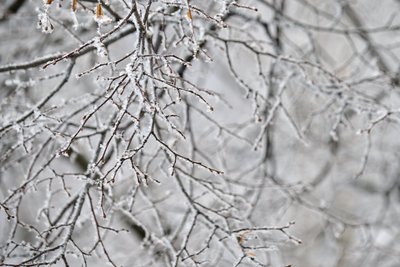 Сегодня в Татарстане ожидается до +3 градусов