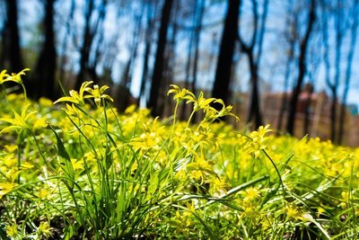 В Татарстане ожидается туман в воскресенье и температура выше нормы до конца марта