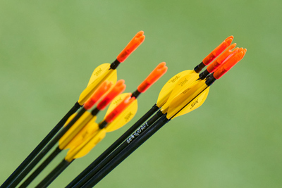 Российские лучники смогут выступать на международных турнирах в нейтральном статусе