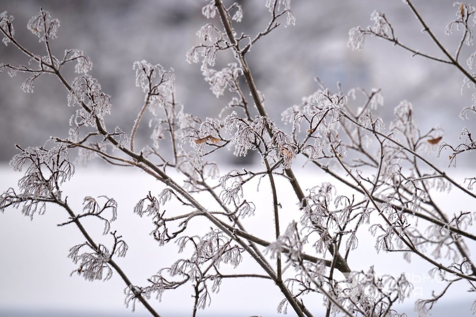 Сегодня в Татарстане ожидается до -4 градусов