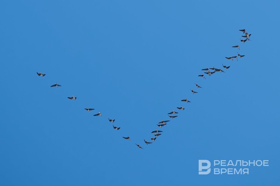 Татарстанцам рассказали о погоде до конца недели