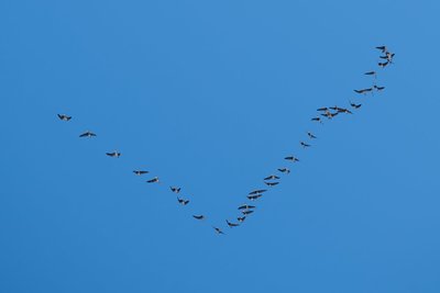 Татарстанцам рассказали о погоде до конца недели