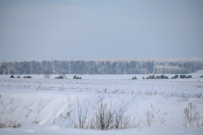 РСЧС предупредила о морозах до 26 градусов в Татарстане