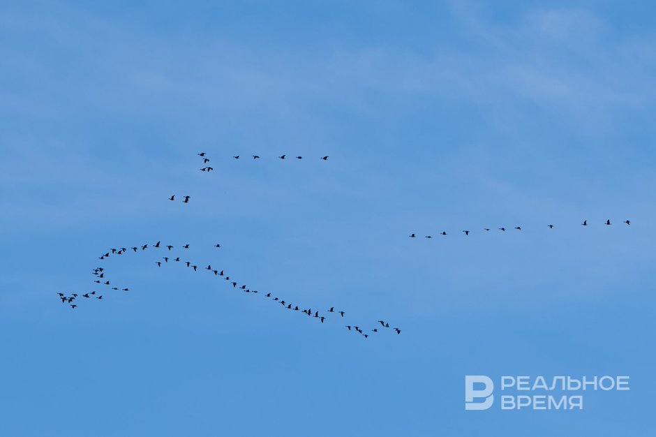 Сегодня в Татарстане ожидается до +18 градусов