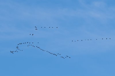 Сегодня в Татарстане ожидается до +18 градусов