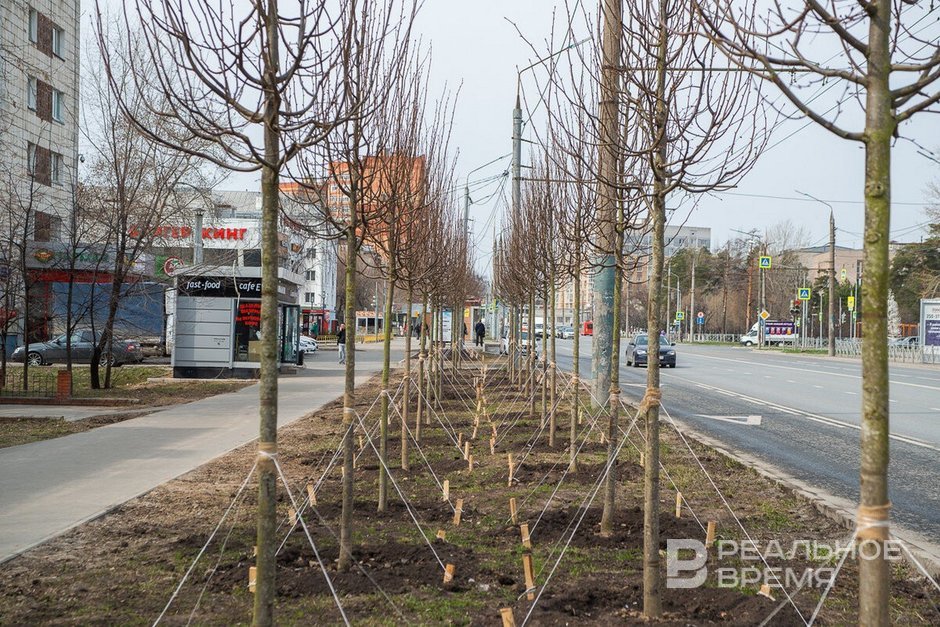 В Казани зафиксировали новый температурный максимум