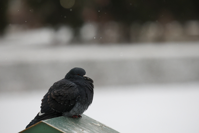 В Татарстане установятся экстремальные холода вплоть до понедельника