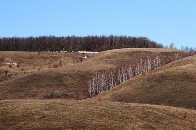 Сегодня в Татарстане ожидается до +17 градусов