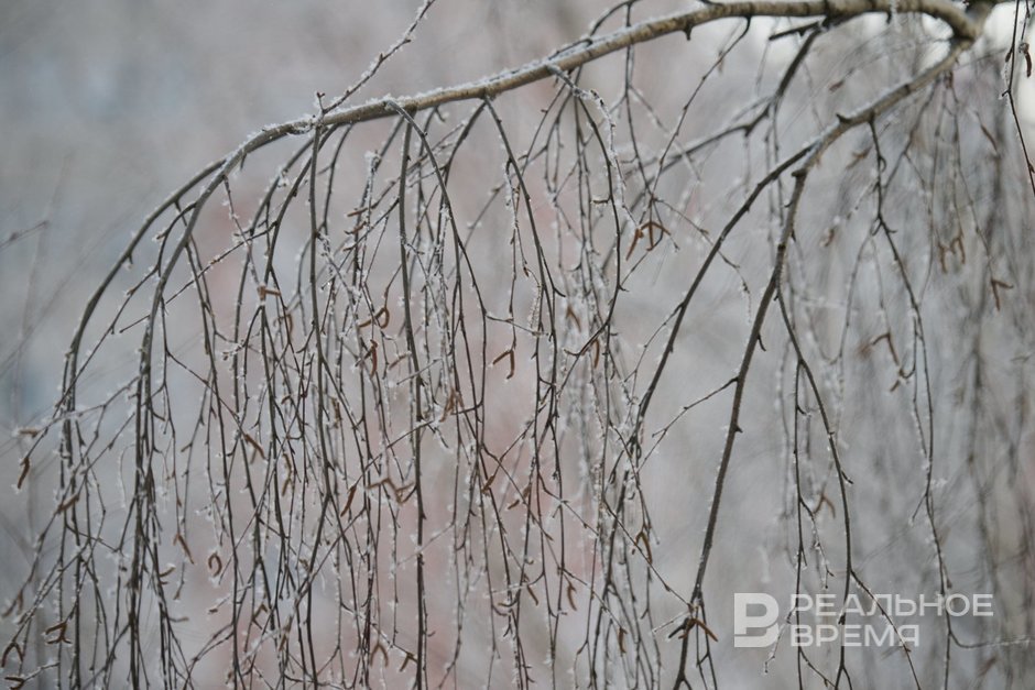 Сегодня в Татарстане ожидается до -5 градусов