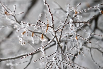 Сегодня в Татарстане ожидается до -4 градусов