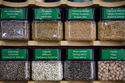 В Татарстане на посевную кампанию направят 43 миллиарда рублей