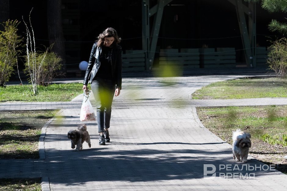 На «Госуслугах» 21 апреля стартует голосование за благоустройство