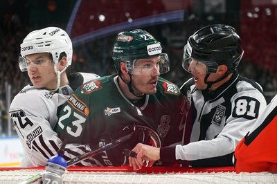 Татарстан вошел в топ регионов России по просмотрам хоккея