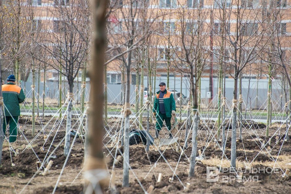 Сегодня в Татарстане ожидается до +14 градусов