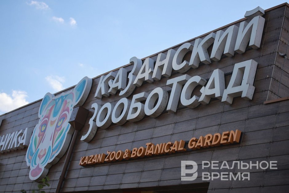 Первые концепции обновленного зооботсада в Казани анонсируют в начале 2027 года