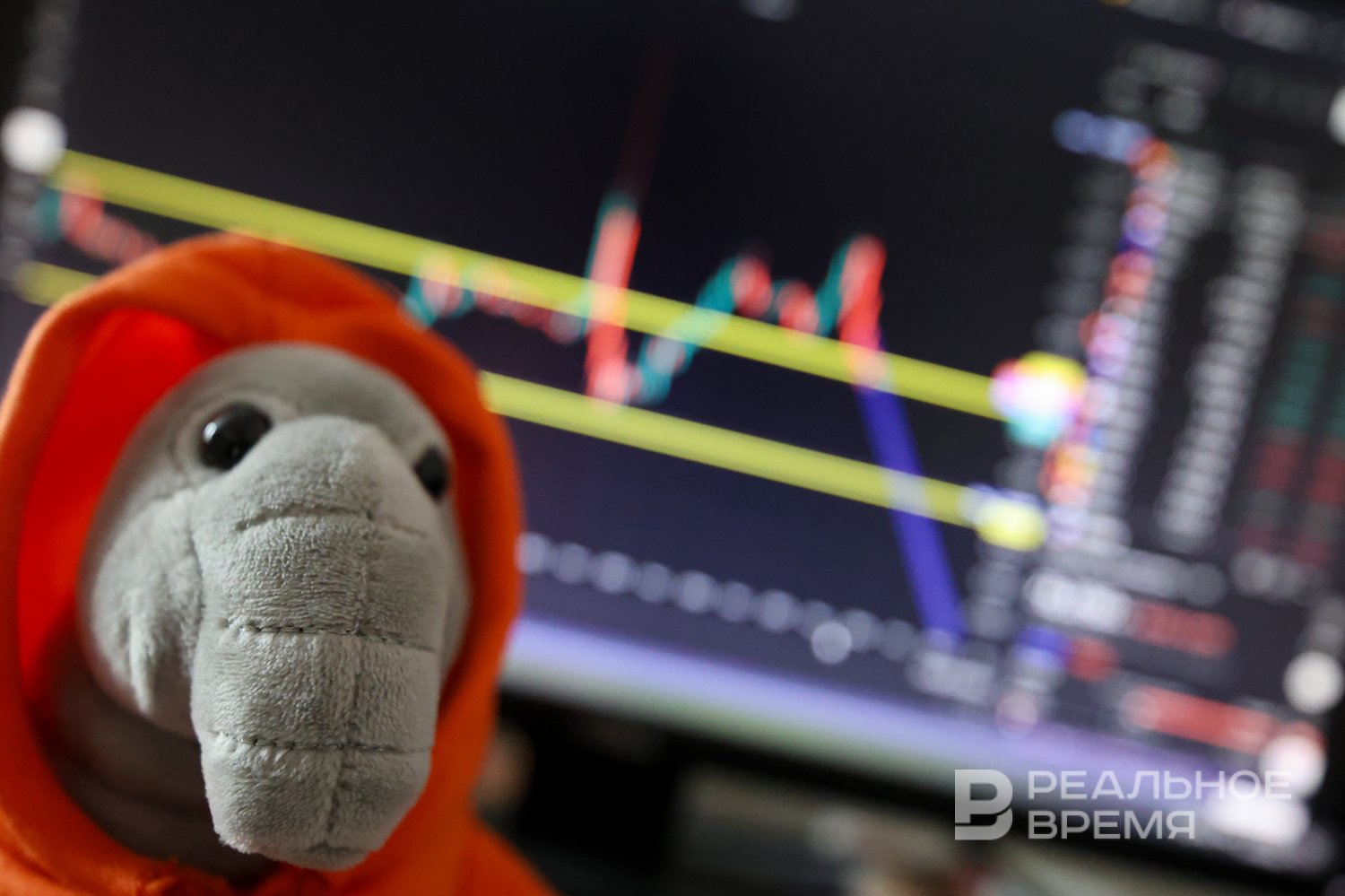 Инфляционные ожидания россиян на год вперед остались на уровне 13%