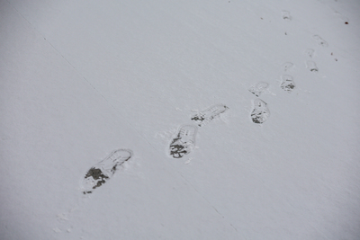 Погода в Татарстане сменится от метелей к антициклону и -20