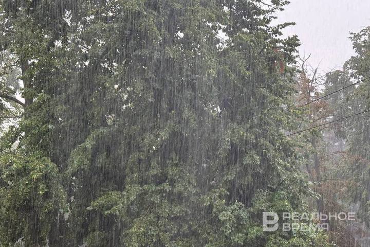 В Татарстане и Казани 5 августа ожидаются грозы, ливни и град