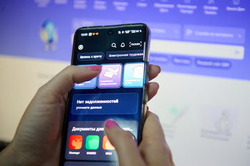 Екатерина Мизулина предупредила о новой схеме мошенничества через «Госуслуги»