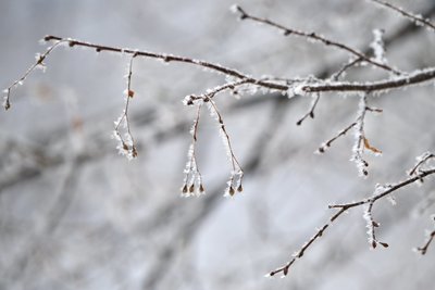 Сегодня в Татарстане ожидается до -14 градусов