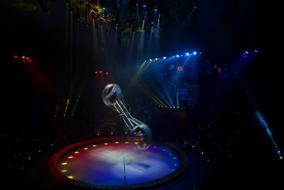 Эльмира Булатова: «Артисты «кочуют» из цирка в цирк, в каждом работают по несколько месяцев»