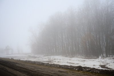 РСЧС предупредила о сильном ветре и тумане в Татарстане