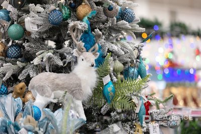 74,3% россиян выбирают искусственную елку