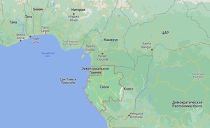 Военные Габона объявили о роспуске институтов власти в стране и закрыли границы