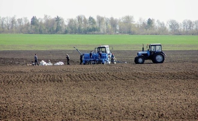 Минниханов поручил Роспотребнадзору очень жестко проработать вопрос организации «Дня Поля»