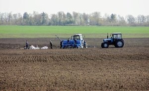 Минниханов поручил Роспотребнадзору очень жестко проработать вопрос организации «Дня Поля»