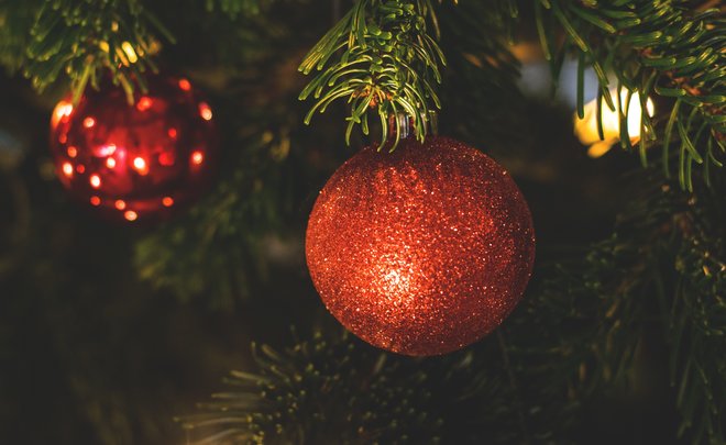 Эксперт рассказала, как выбрать хорошую искусственную елку