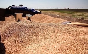 В Татарстане на 91% от плана выполнена посевная