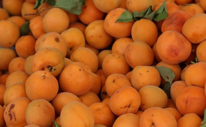 Правительство опубликовало список разрешенных к ввозу турецких фруктов