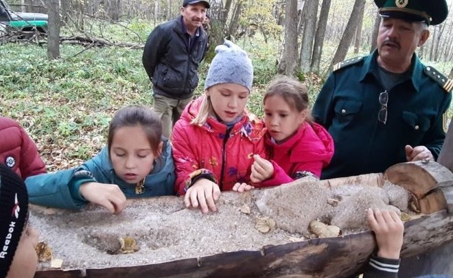 В Татарстане начали подкармливать диких животных
