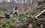 На уничтожение борщевика Сосновского в Высокогорском районе Татарстана направят 8,2 млн рублей