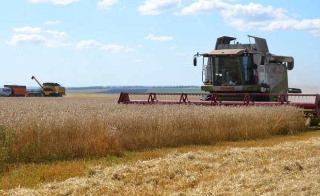 В Татарстане выявили более 18 тысяч тонн некачественного зерна