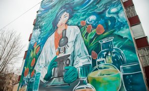 «Девушка-лаборант» украсила фасад дома в Нижнекамске