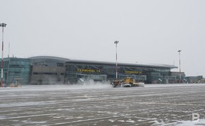 В аэропорту Казани служебная собака таможенников нашла 130 тысяч долларов