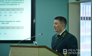 Из-за пожаров в Минлесхозе Татарстана ждут «напряженного лета»