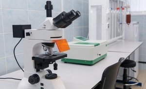 В России появятся генетические паспорта новорожденных